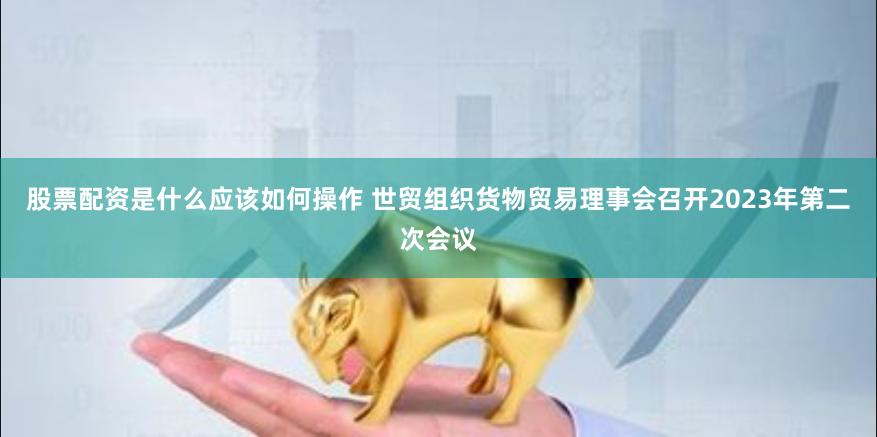 股票配资是什么应该如何操作 世贸组织货物贸易理事会召开2023年第二次会议