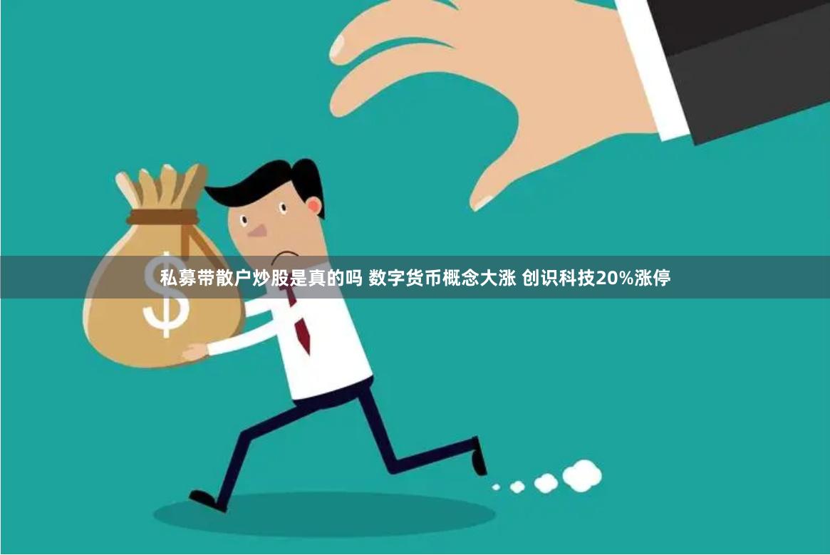 私募带散户炒股是真的吗 数字货币概念大涨 创识科技20%涨停