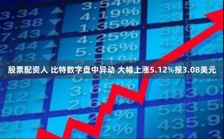 股票配资人 比特数字盘中异动 大幅上涨5.12%报3.08美元