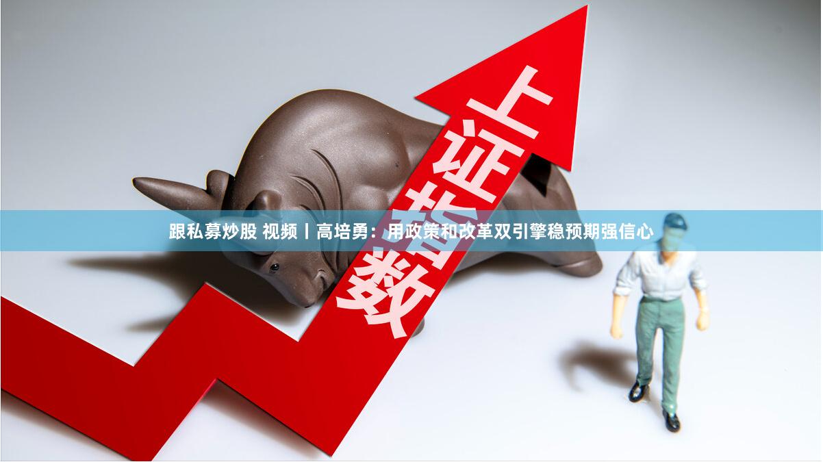 跟私募炒股 视频丨高培勇：用政策和改革双引擎稳预期强信心
