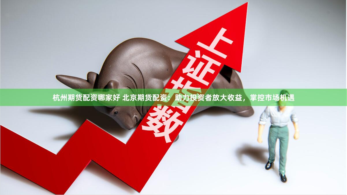 杭州期货配资哪家好 北京期货配资：助力投资者放大收益，掌控市场机遇